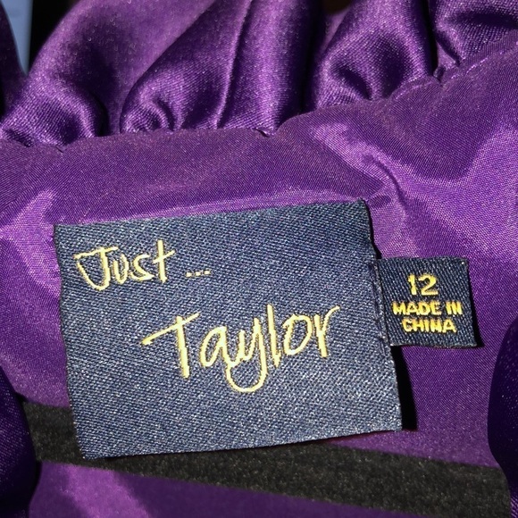 Just Taylor Gorgeous Purple Sleeveless Ruffle V Neck Waisted Party Dress Size 12 - Picture 8 of 10